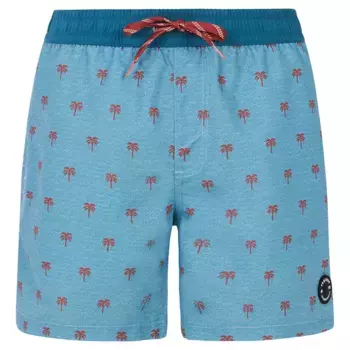 Шорты для плавания Protest Parco, синий