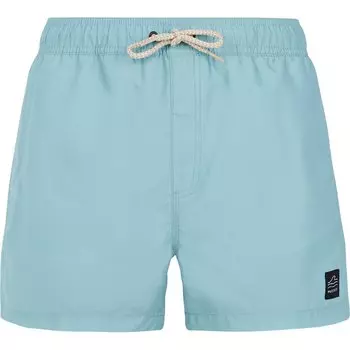 Шорты для плавания Protest Stilo Swimming Shorts, синий