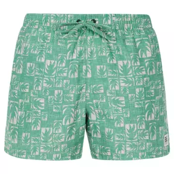 Шорты для плавания Protest Tifton, зеленый