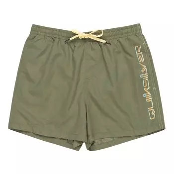 Шорты для плавания Quiksilver Behind Wave, зеленый