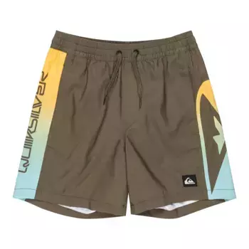 Шорты для плавания Quiksilver Boys' Everyday Holmes 14", коричневый