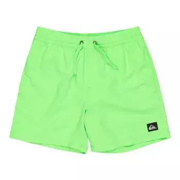 Шорты для плавания Quiksilver Boys' Everyday Solid 14", зеленый