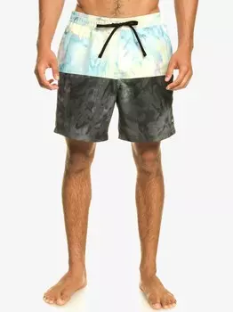 Шорты для плавания Quiksilver BUTT LOGO VOLLEY 17NB, разноцветный