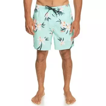 Шорты для плавания Quiksilver Everyday Mix Volley 17, зеленый