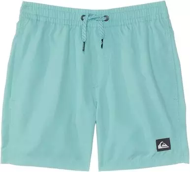 Шорты для плавания Quiksilver Everyday Solid Volley 12, цвет Marine Blue