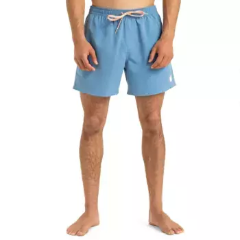 Шорты для плавания Quiksilver Everyday Solid Volley 15, синий