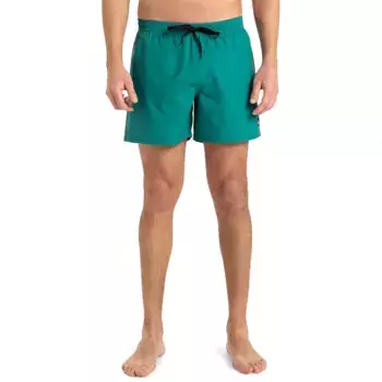 Шорты для плавания Quiksilver Everyday Solid Volley 15, зеленый