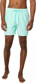 Шорты для плавания Quiksilver Everyday Vert 16" Volley, цвет Beach Glass