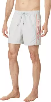 Шорты для плавания Quiksilver Everyday Vert 16" Volley, цвет Gray Violet