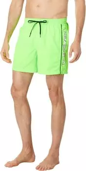 Шорты для плавания Quiksilver Everyday Vert 16" Volley, цвет Green Gecko