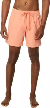 Шорты для плавания Quiksilver Everyday Vert 16" Volley, цвет Fresh Salmon