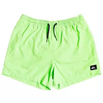 Шорты для плавания Quiksilver Everyday Volley 15, зеленый