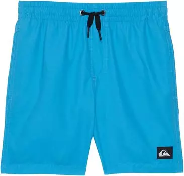 Шорты для плавания Quiksilver Everyday Volley, цвет Blithe