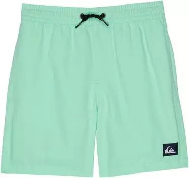 Шорты для плавания Quiksilver Everyday Volley, цвет Beach Glass