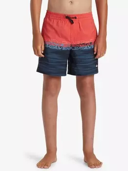 Шорты для плавания Quiksilver EVERYDAY WORDBLOCK VLY YTH 14, разноцветный