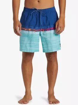 Шорты для плавания Quiksilver EVERYDAY WORDBLOCK VOLLEY 17, синий