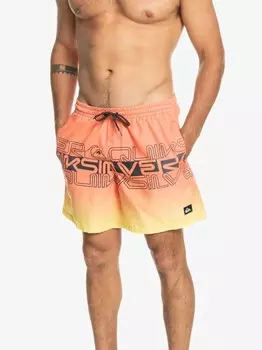 Шорты для плавания Quiksilver EVERYDAY WORDBLOCK VOLLEY 17, разноцветный