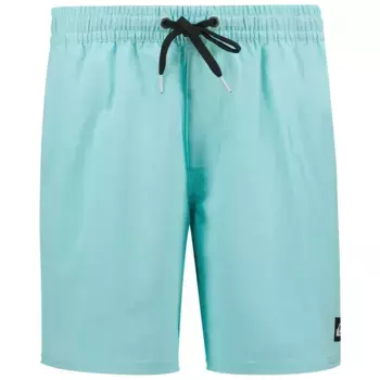 Шорты для плавания Quiksilver Spl Surfsilk Piped Volley 16, синий