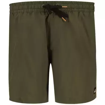 Шорты для плавания Quiksilver Spl Surfsilk Piped Volley 16, зеленый