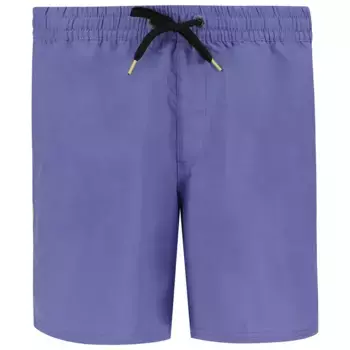 Шорты для плавания Quiksilver Spl Surfsilk Piped Volley 16, фиолетовый