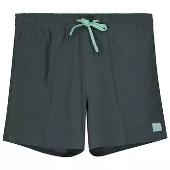 Шорты для плавания Quiksilver Surfsilk Volley 16, зеленый
