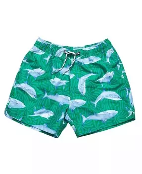 Шорты для плавания Reef Shark Snapper Rock, зеленый