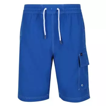 Шорты для плавания Regatta Hotham IV, синий