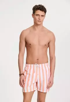 Шорты для плавания REGULAR FIT BROAD STRIPE Shiwi, оранжевый