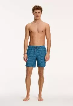 Шорты для плавания Regular Fit High Tide Shiwi, королевский синий