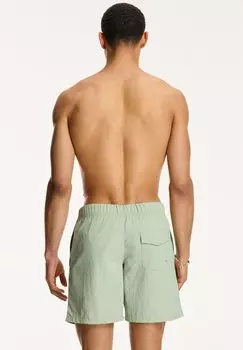 Шорты для плавания Regular Fit Nick Shiwi, зеленый