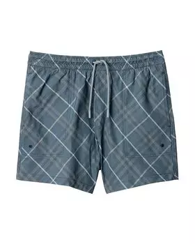 Шорты для плавания Relaxed Fit Check 4.1" Burberry, серый