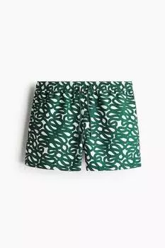 Шорты для плавания с принтом «Борг» Bjrn Borg, мультиколор