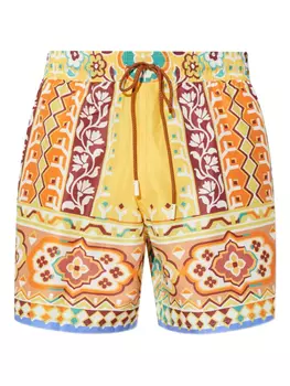 Шорты для плавания с принтом ETRO, желтый