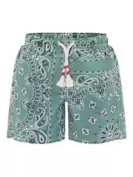 Шорты для плавания с принтом пейсли MC2 Saint Barth Kids, зеленый