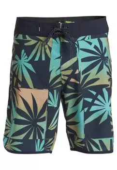 Шорты для плавания SCALLOP Quiksilver, синий