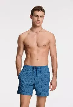 Шорты для плавания SCOTT STRETCH Shiwi, синий