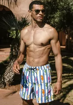 Шорты для плавания SEAHORSE STRIPE PRINT Chelsea Peers, синий