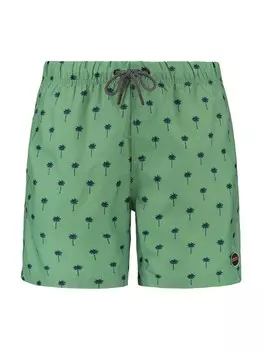 Шорты для плавания Shiwi Board Shorts PALM, зеленый