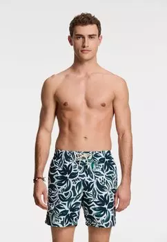 Шорты для плавания Shiwi, зеленый