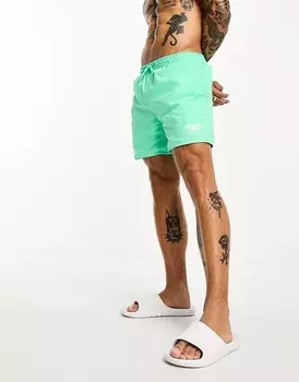 Шорты для плавания Speedo Essential Watershort, светло-зеленый