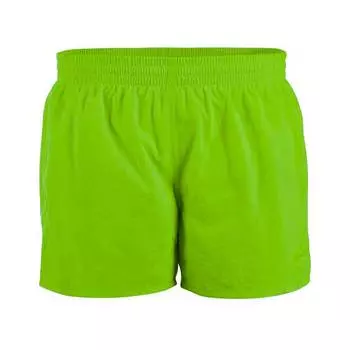 Шорты для плавания Speedo Fitted Leisure AM 13, зеленый