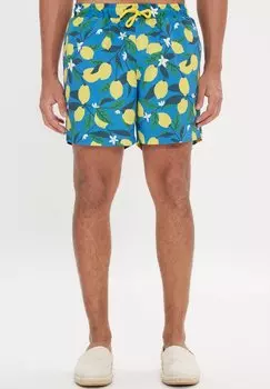 Шорты для плавания Standard Fit AC&CO / ALTINYILDIZ CLASSICS, сине-желтые