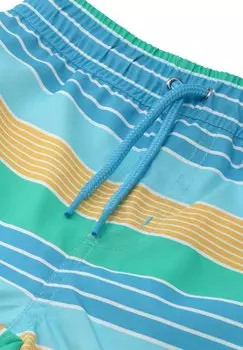 Шорты для плавания Stripes Villervalla, синий