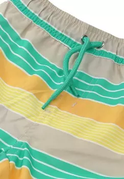 Шорты для плавания Stripes Villervalla, зеленый