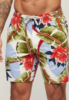 Шорты для плавания Superdry, белый