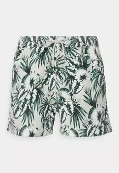 Шорты для плавания SWIM Bjrn Borg, цвет exotic big