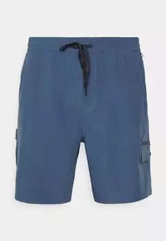 Шорты для плавания TAXER AMPHIBIAN Quiksilver, светло-синий