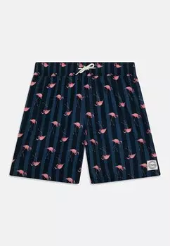 Шорты для плавания TRUNK PREPPY FLAMINGO Abercrombie & Fitch, цвет blue
