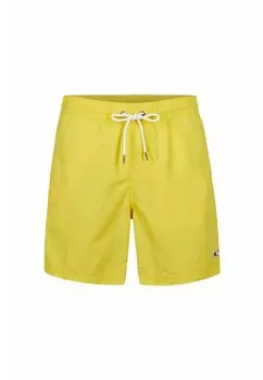 Шорты для плавания VERT SWIM 16" SHORTS O'Neill, цвет dandelion