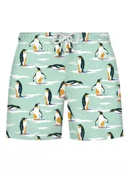 Шорты для плавания WESTMARK LONDON Board Shorts, мятный